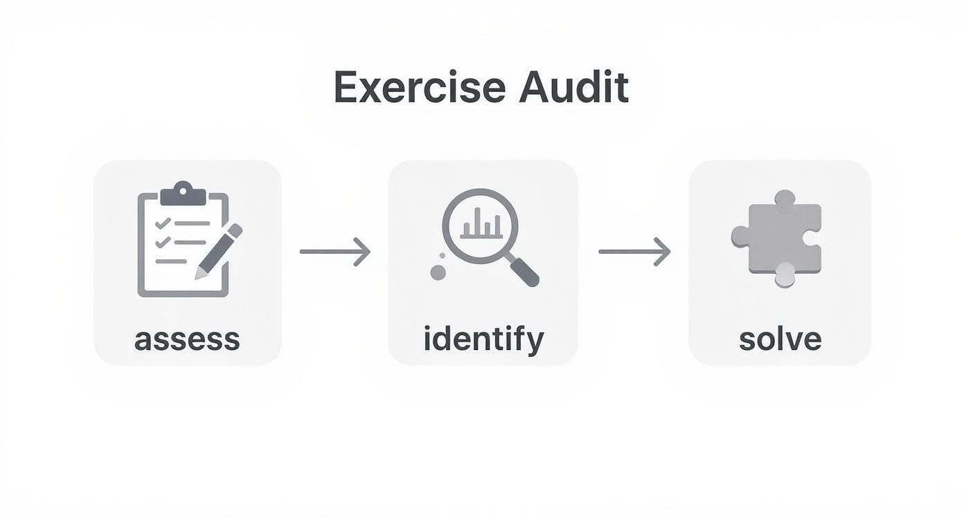 Finding Your Motivation to Exercise and Stick With It 1 Exercise audit process flowchart showing three steps: assess, identify, and solve with illustrative icons