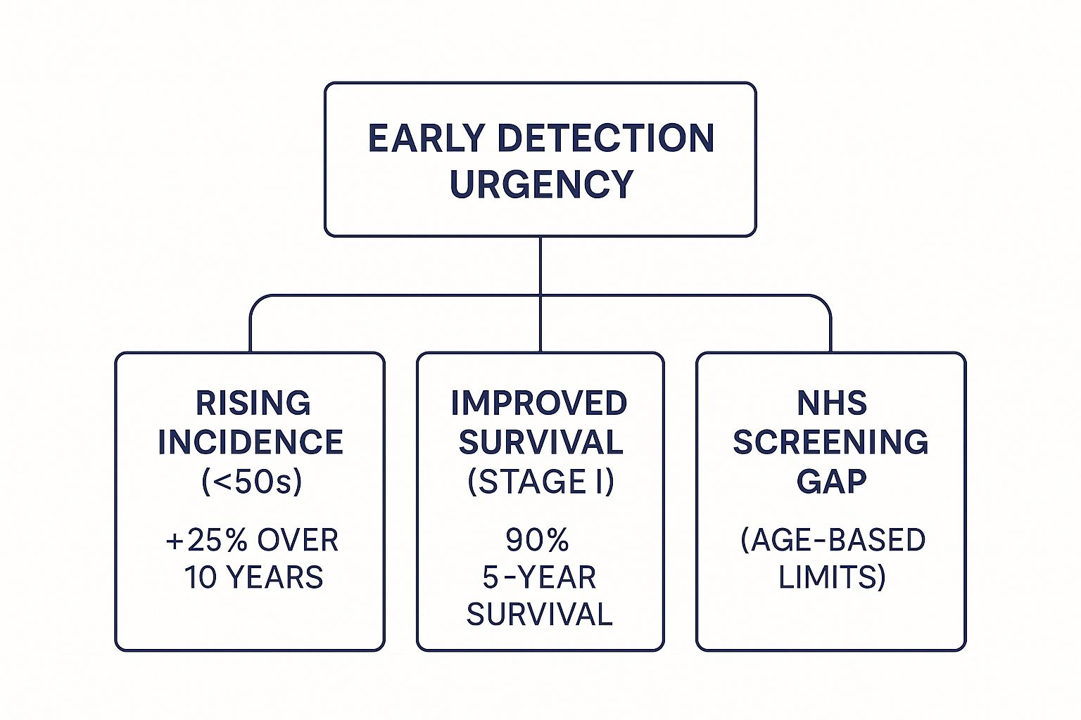 Your Guide to Private Cancer Screening in the UK 2 Infographic about private cancer screening
