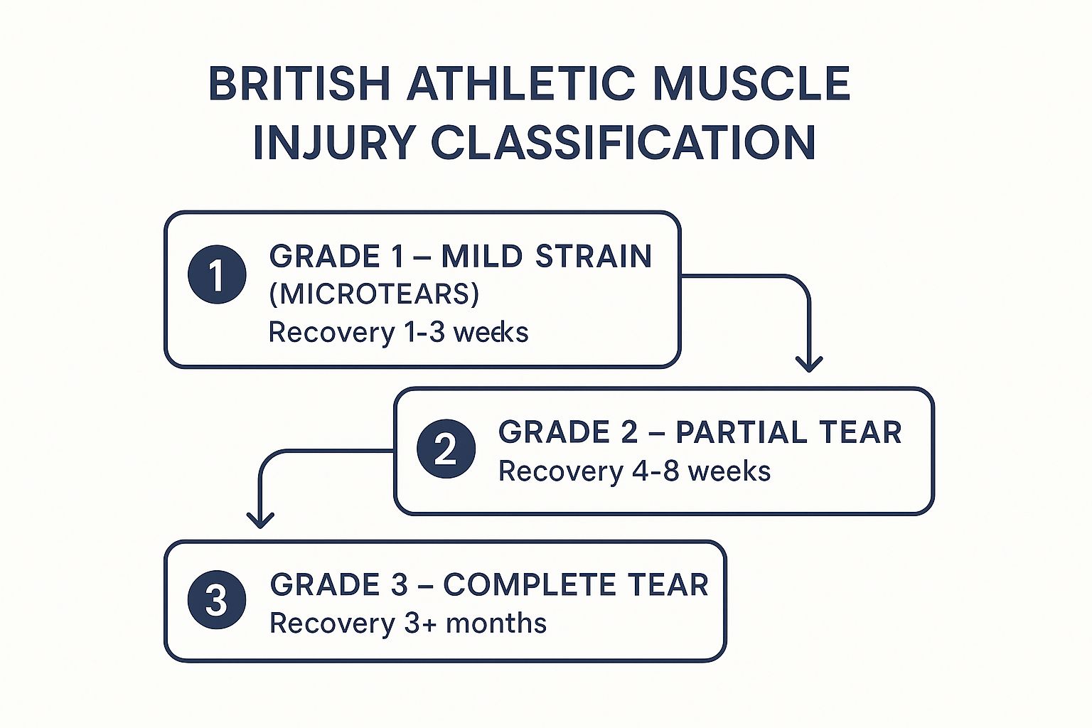 How to Recover from Hamstring Injury: A Patient's Guide to Healing 2 Infographic illustrating the three grades of hamstring injury: Grade 1 (mild strain), Grade 2 (partial tear), and Grade 3 (complete tear) with corresponding recovery times.