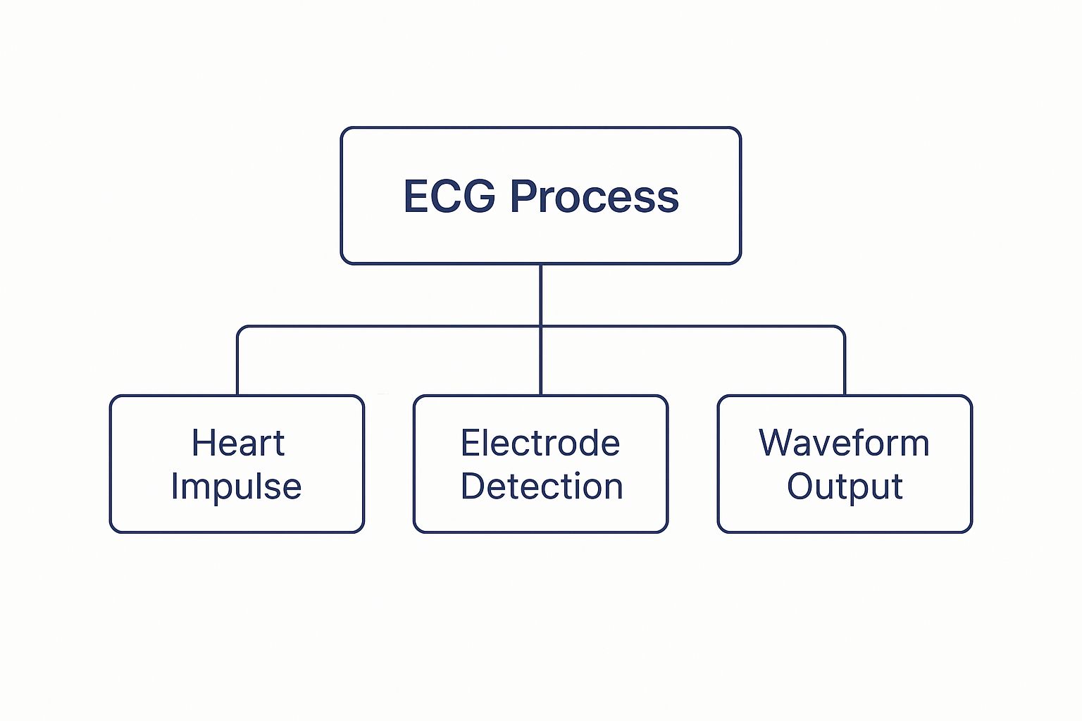 What Is ECG Test? Your Heart Health Guide 2 Image