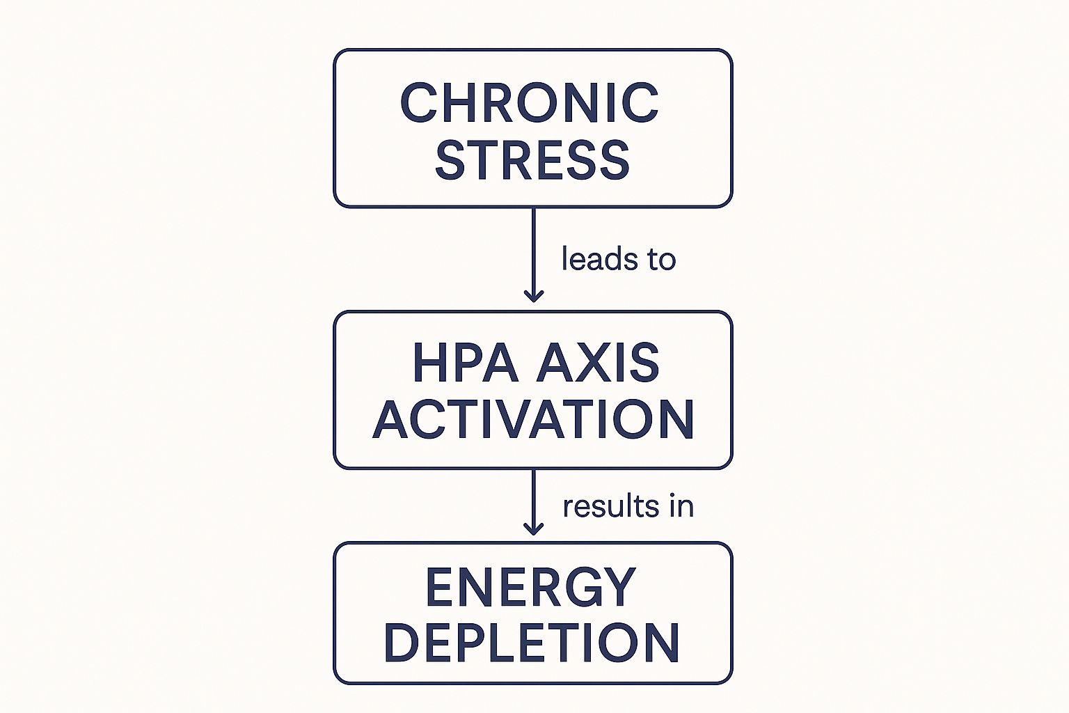 Infographic about can stress cause fatigue