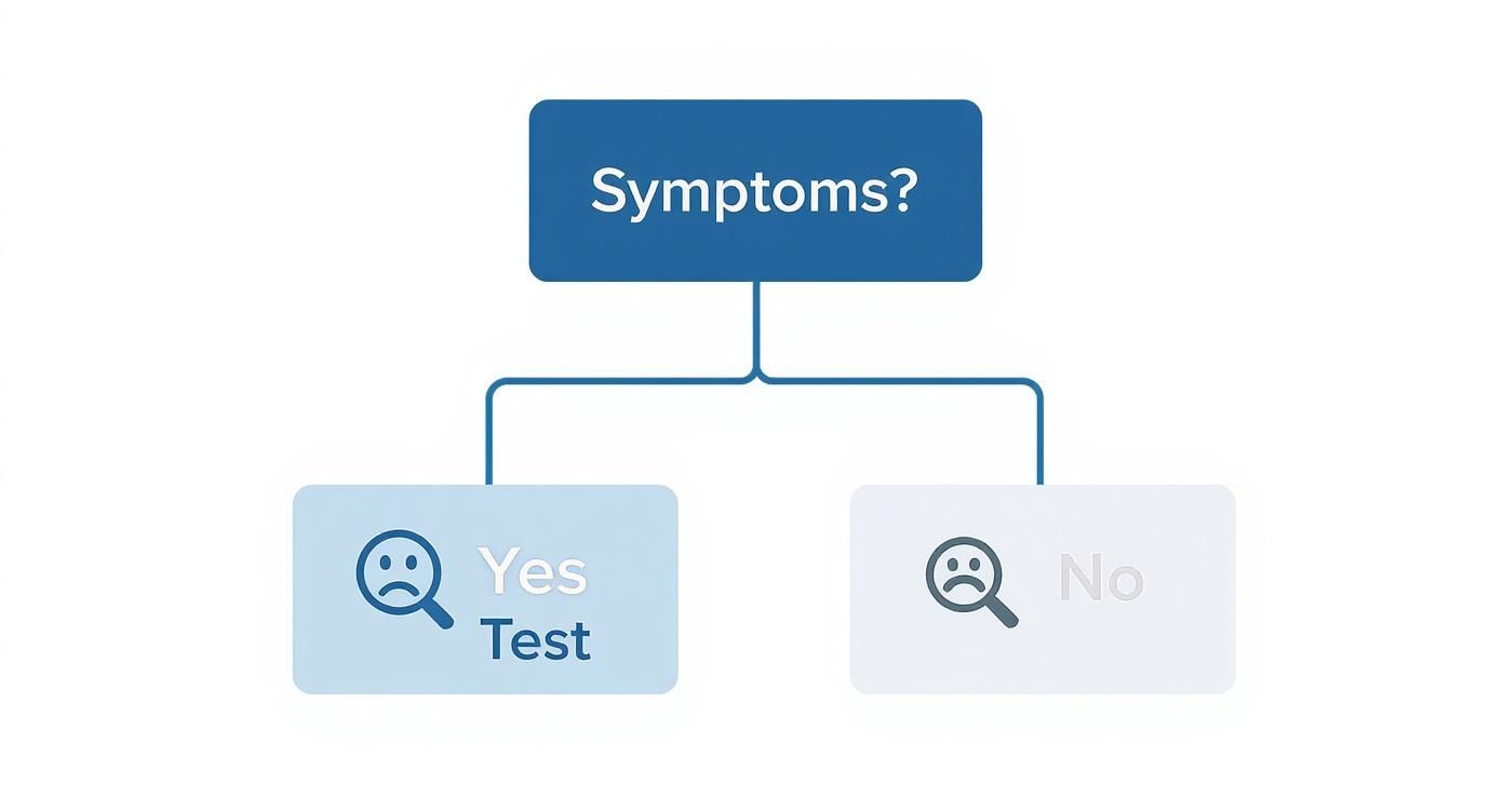 Infographic about allergy testing uk