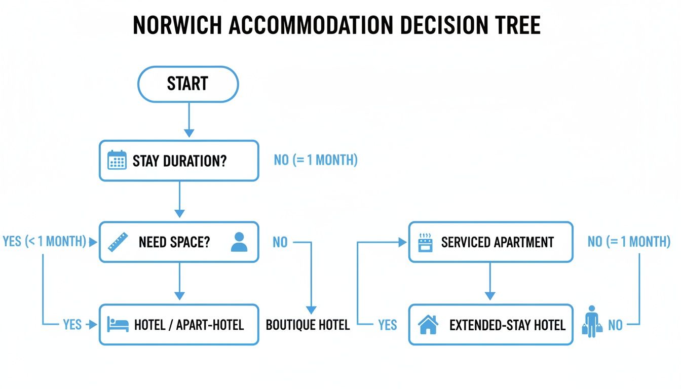 A decision tree flowchart for Norwich accommodation options based on stay duration and space requirements.