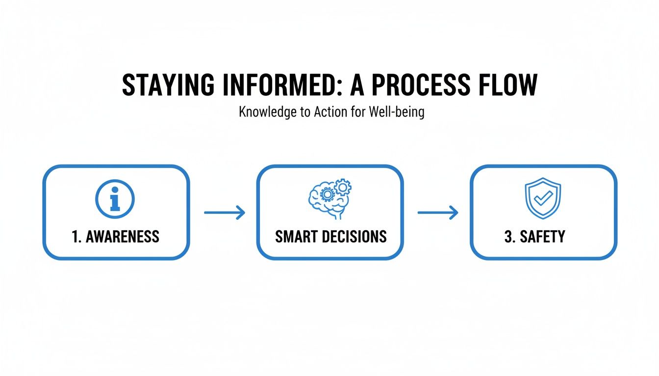 A process flow diagram illustrating how staying informed leads to awareness, smart decisions, and safety.