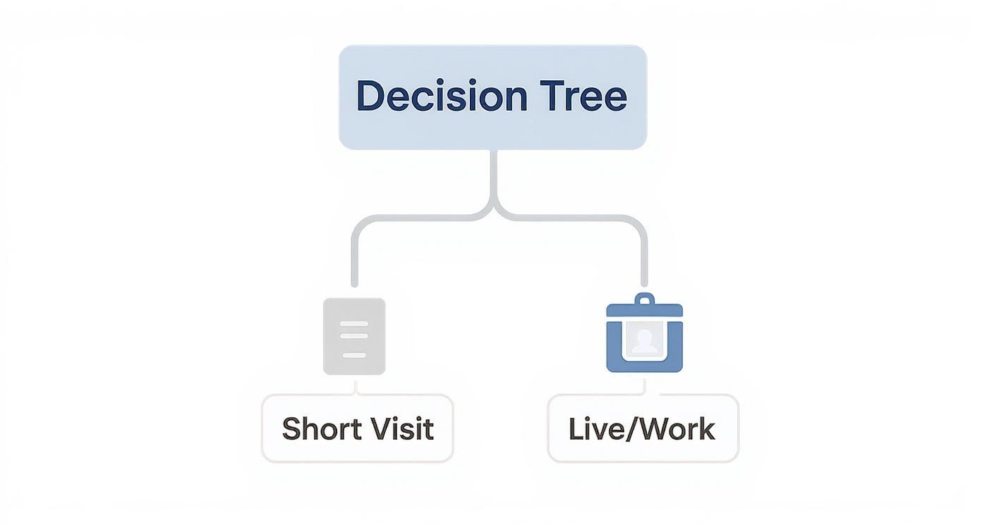 A decision tree diagram illustrating two options: Short Visit with a document icon and Live/Work with an ID badge.