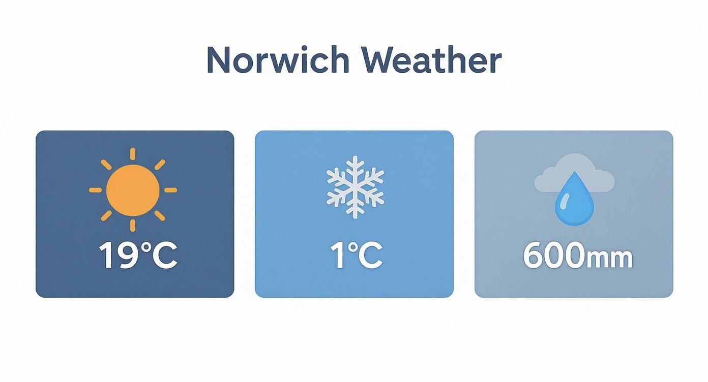 Norwich weather information showing 19 degrees celsius temperature, 1 degree low, and 600mm rainfall