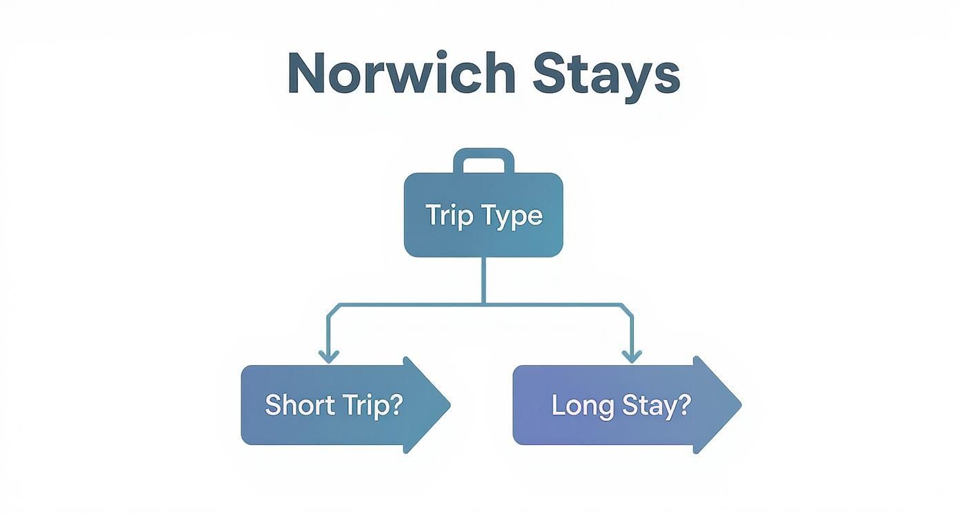 Infographic about hotels in norwich norfolk england