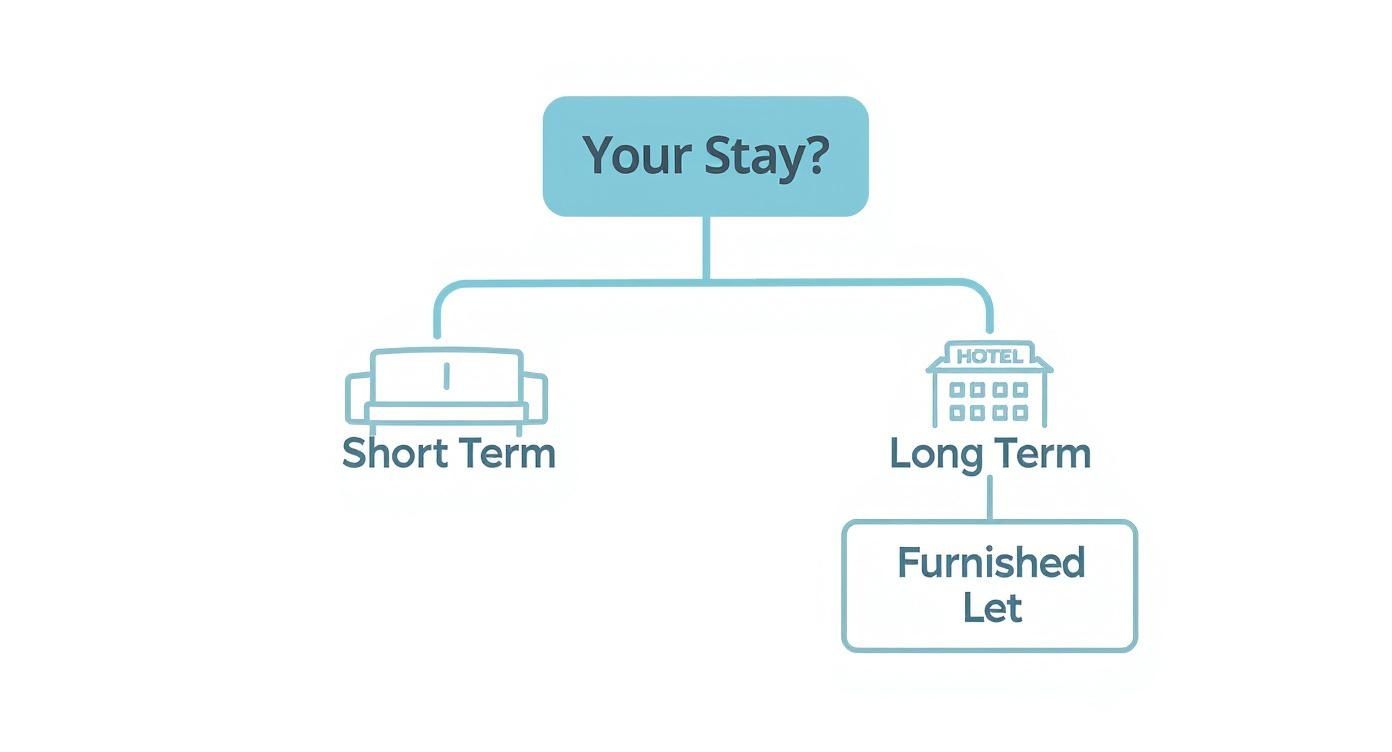 A decision tree infographic showing that short-term stays lead to the choice of a furnished let, using soft blue icons of a sofa and a hotel against a white background.