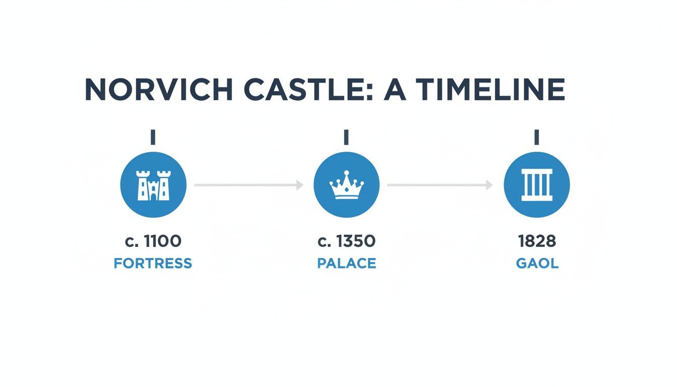 A timeline illustrating Norwich Castle's evolution from a fortress (c. 1100) to a palace (c. 1350) and a gaol (1828).