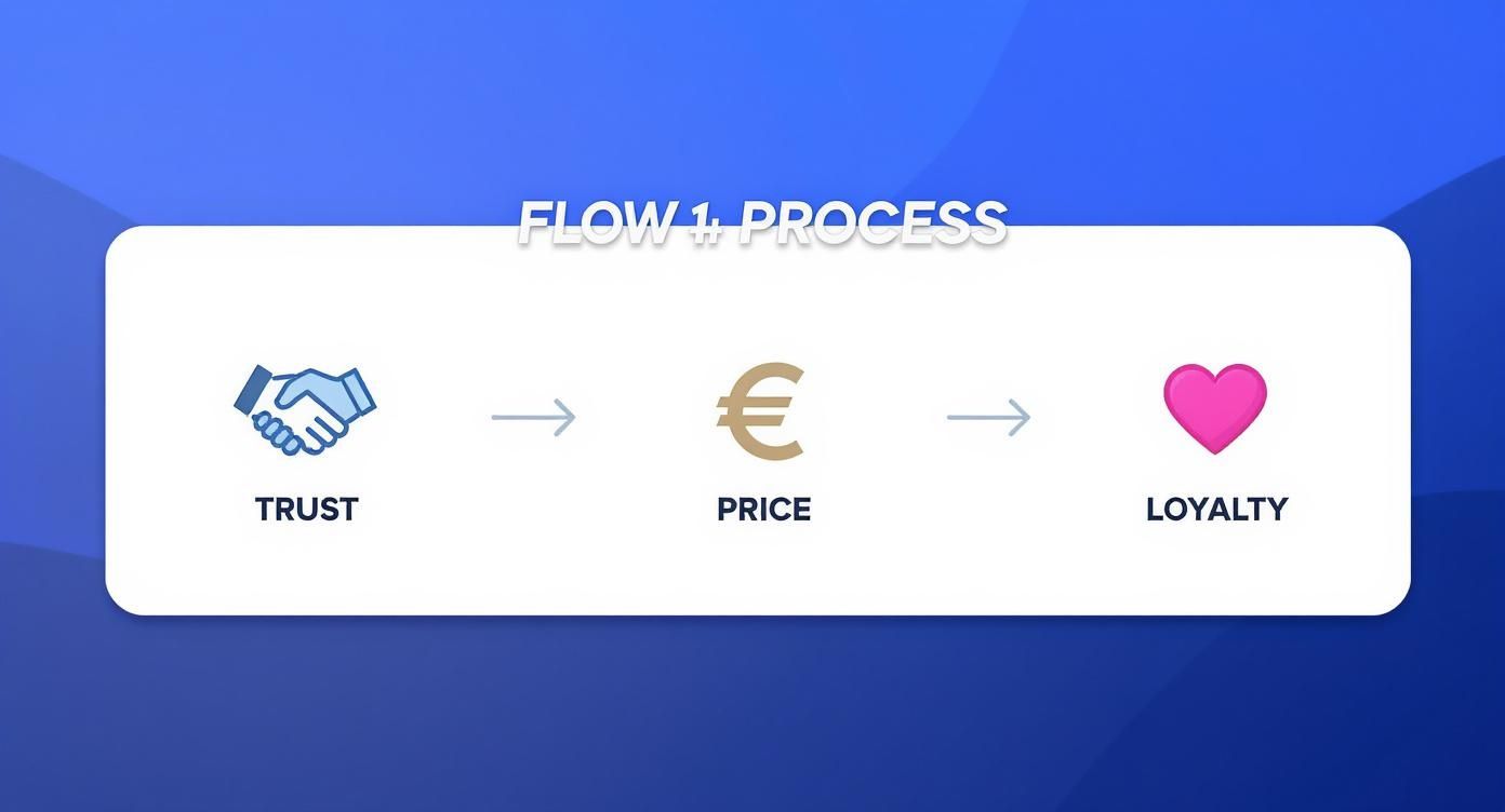 Infographic about increasing brand awareness