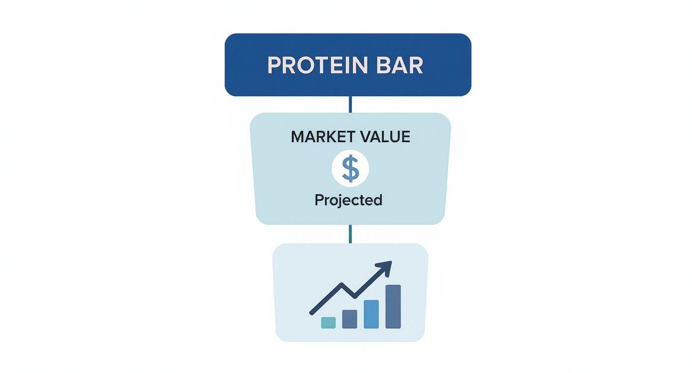 Infographic about protein bar nutrition facts