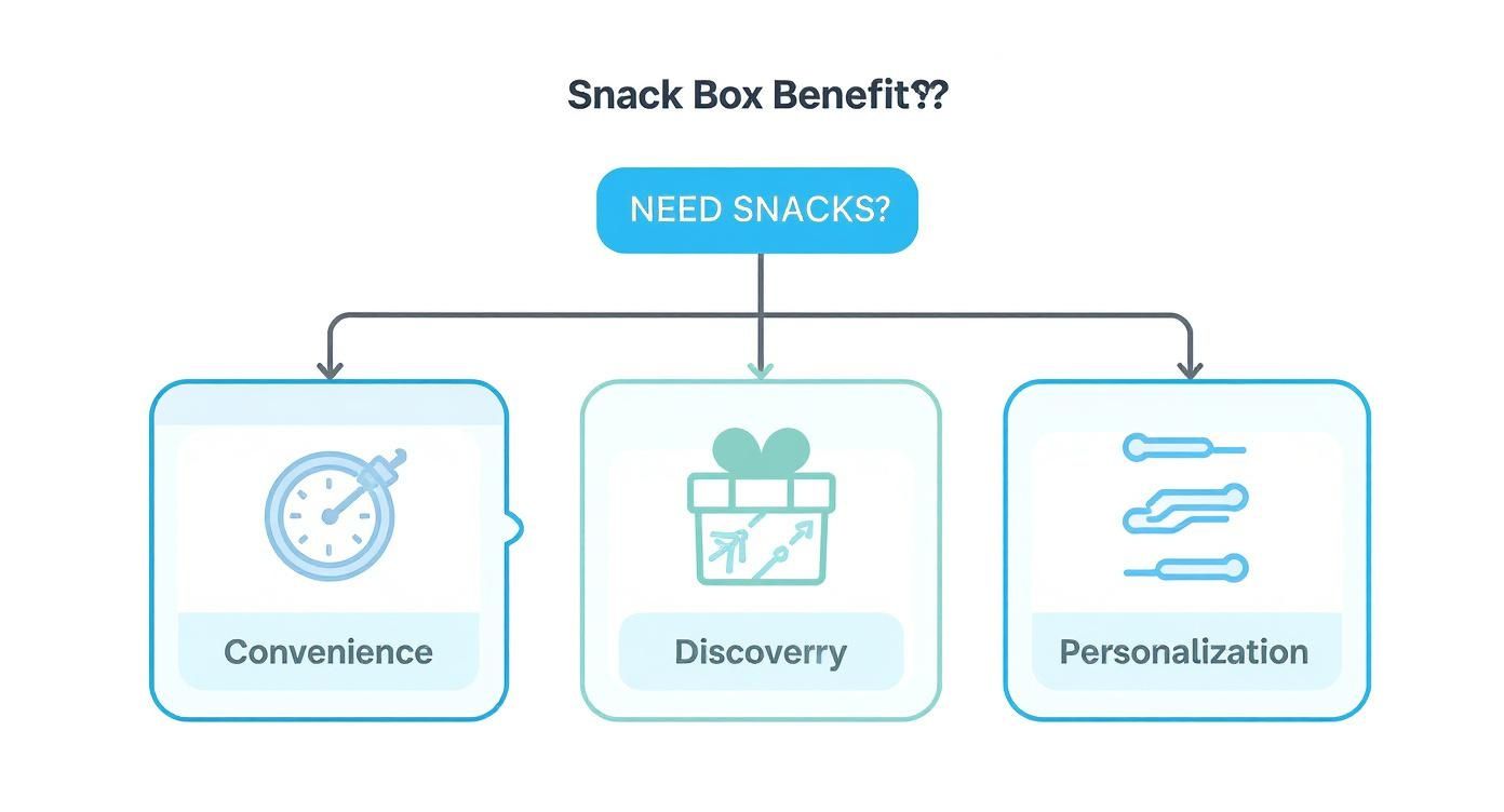 An infographic decision tree showing the benefits of an organic snack subscription box, starting with "Need Snacks?" and branching into convenience, discovery, and personalization.