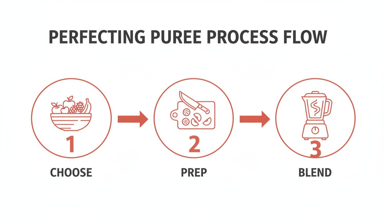 An infographic detailing the three-step process for making fruit puree: choose, prep, and blend.