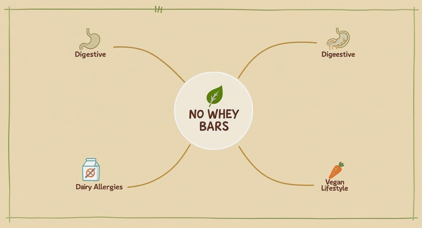 Infographic about no whey protein bars