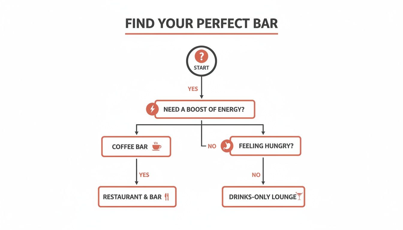 A flowchart guiding users to find their perfect bar based on energy needs and hunger levels.