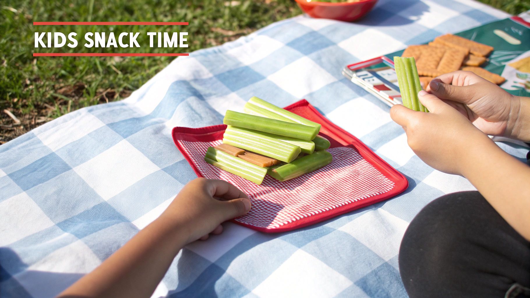 Child enjoying healthy celery sticks and other snacks on a blue and white picnic blanket.