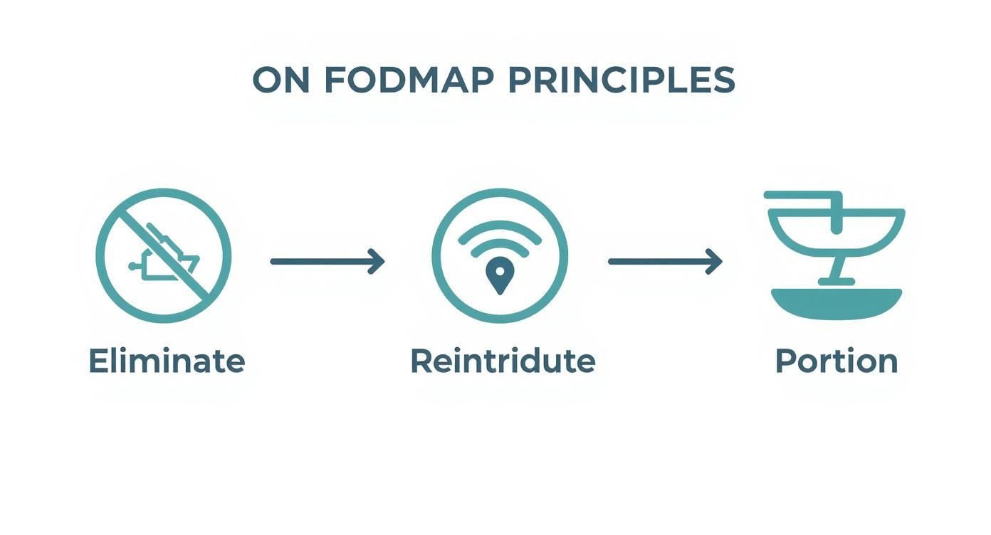Infographic about low fodmap snack bars