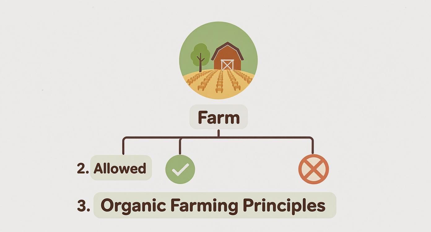 Infographic about what does certified organic mean
