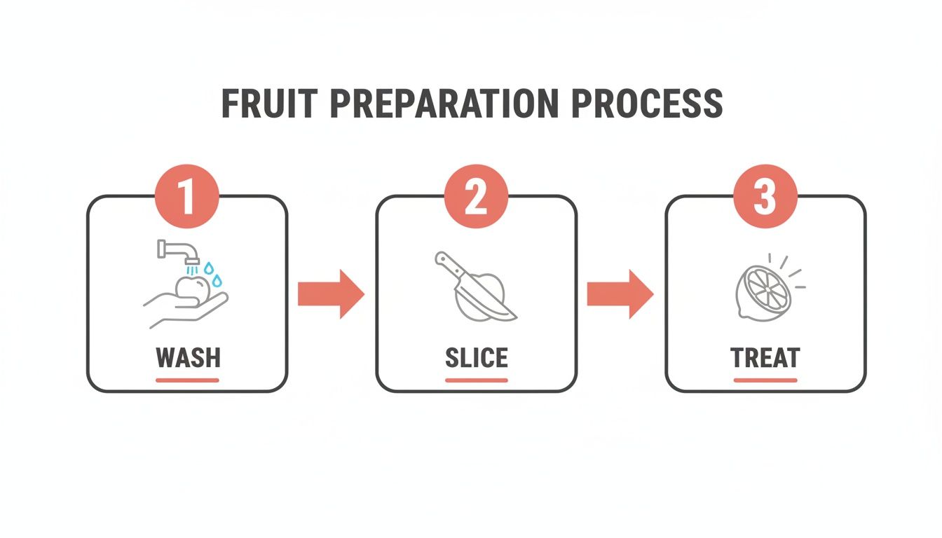 A three-step infographic outlining the fruit preparation process: wash, slice, and treat.