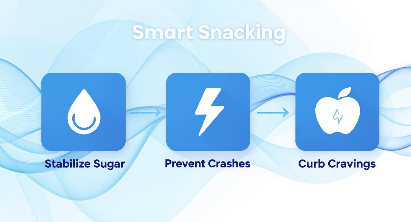 Infographic showing a smart snacking process: stabilize sugar, prevent crashes, and curb cravings.