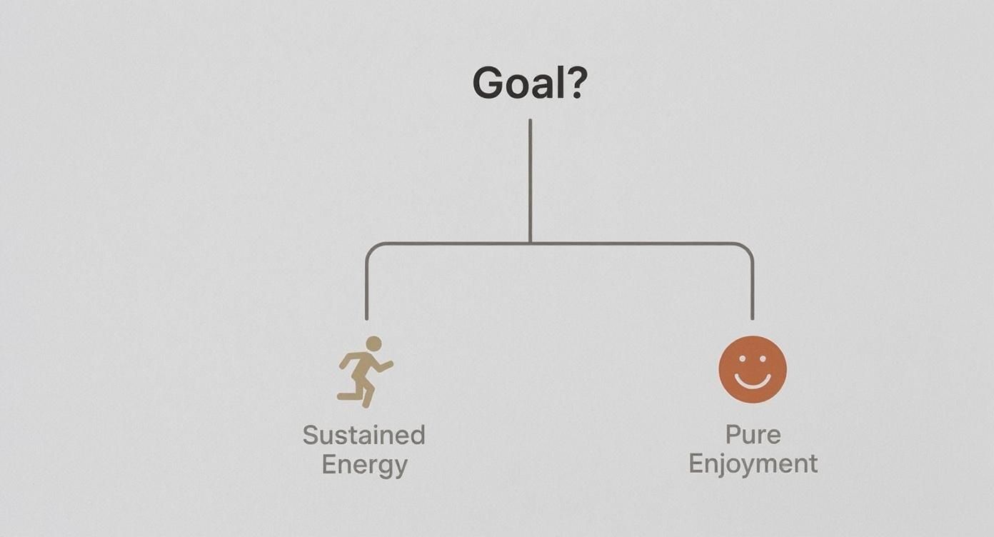 A diagram asking 'Goal?' with two paths: 'Sustained Energy' (runner icon) and 'Pure Enjoyment' (smiley face).