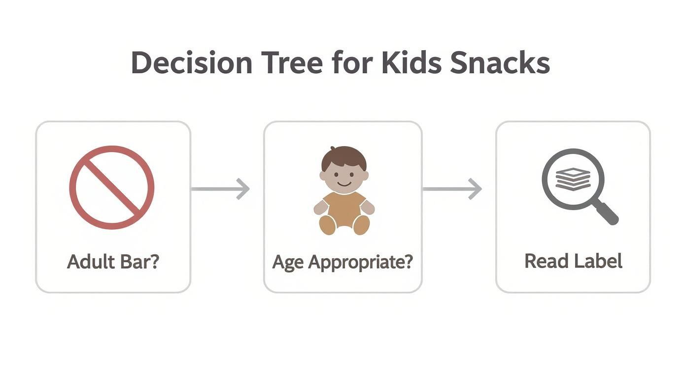 Infographic about clean protein bar