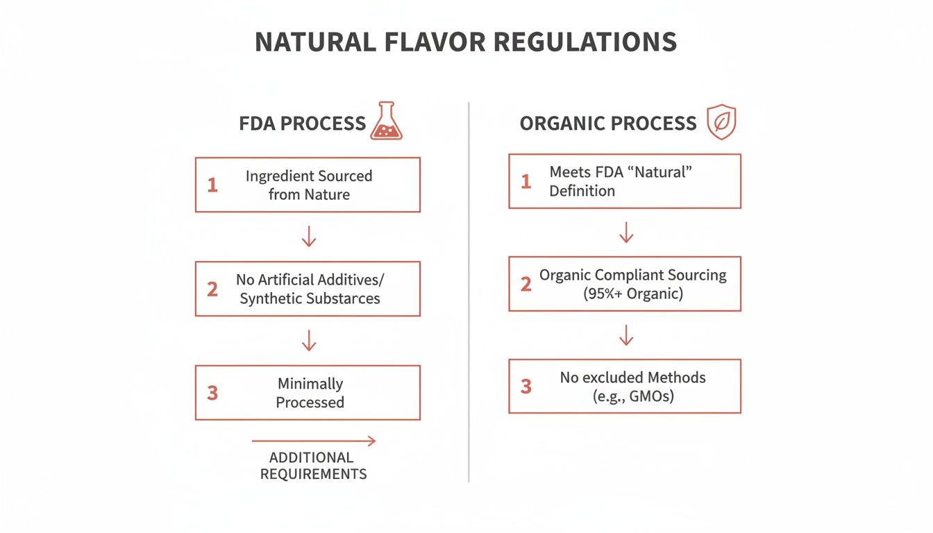 Flowchart comparing FDA and organic natural flavor regulation processes, outlining key steps and requirements.