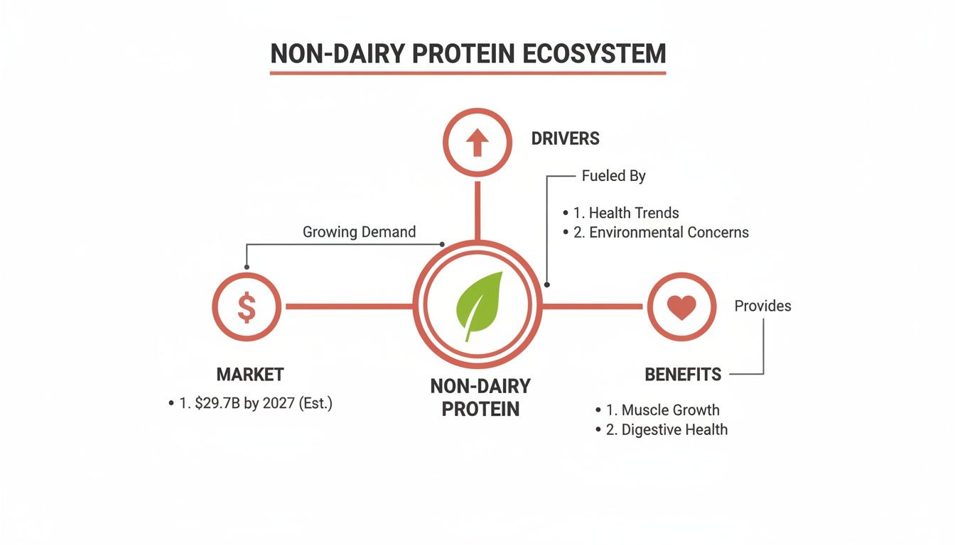 Infographic detailing the non-dairy protein ecosystem, including market size, growth drivers, and health benefits.