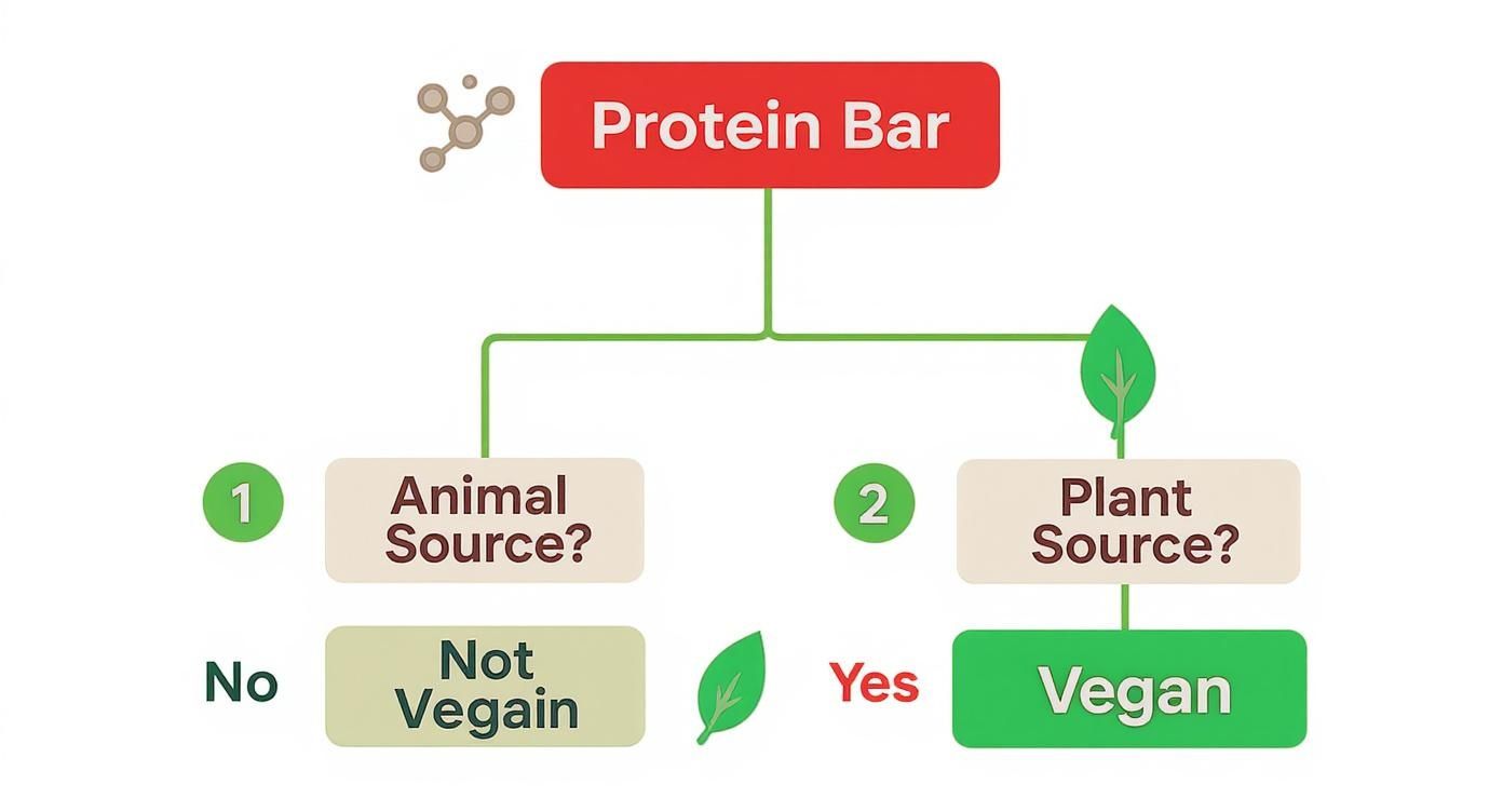 Infographic about vegan protein bars