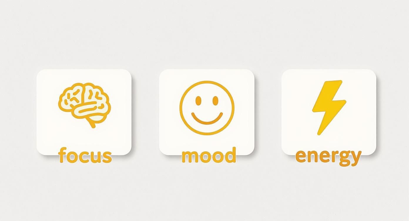 Three wellness icons representing mental focus, positive mood, and energy levels for healthy living