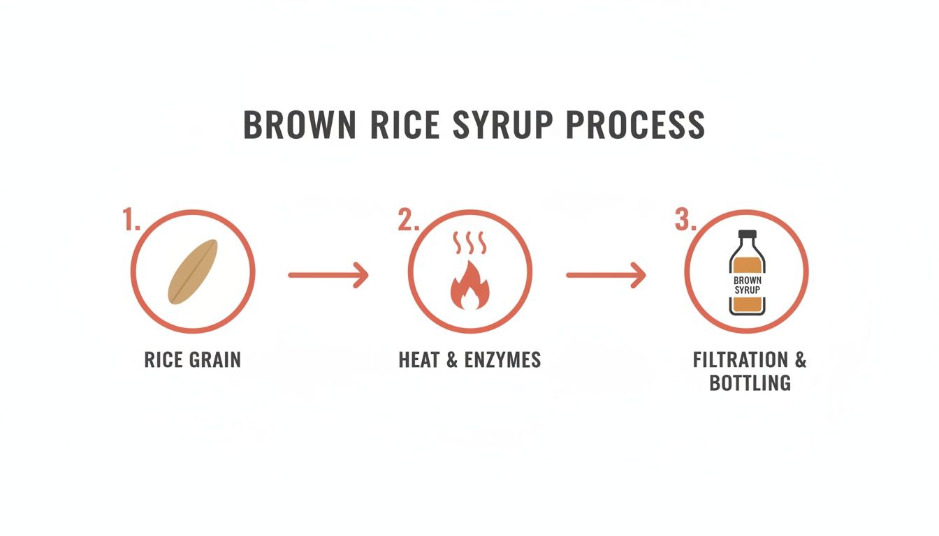 A simple infographic detailing the three steps to produce brown rice syrup from rice grain.