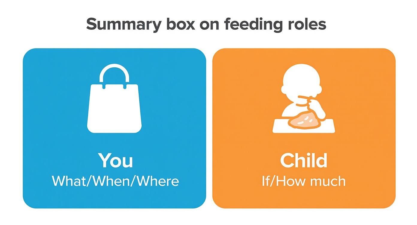 Summary box on feeding roles: parent (what, when, where) versus child (if, how much).
