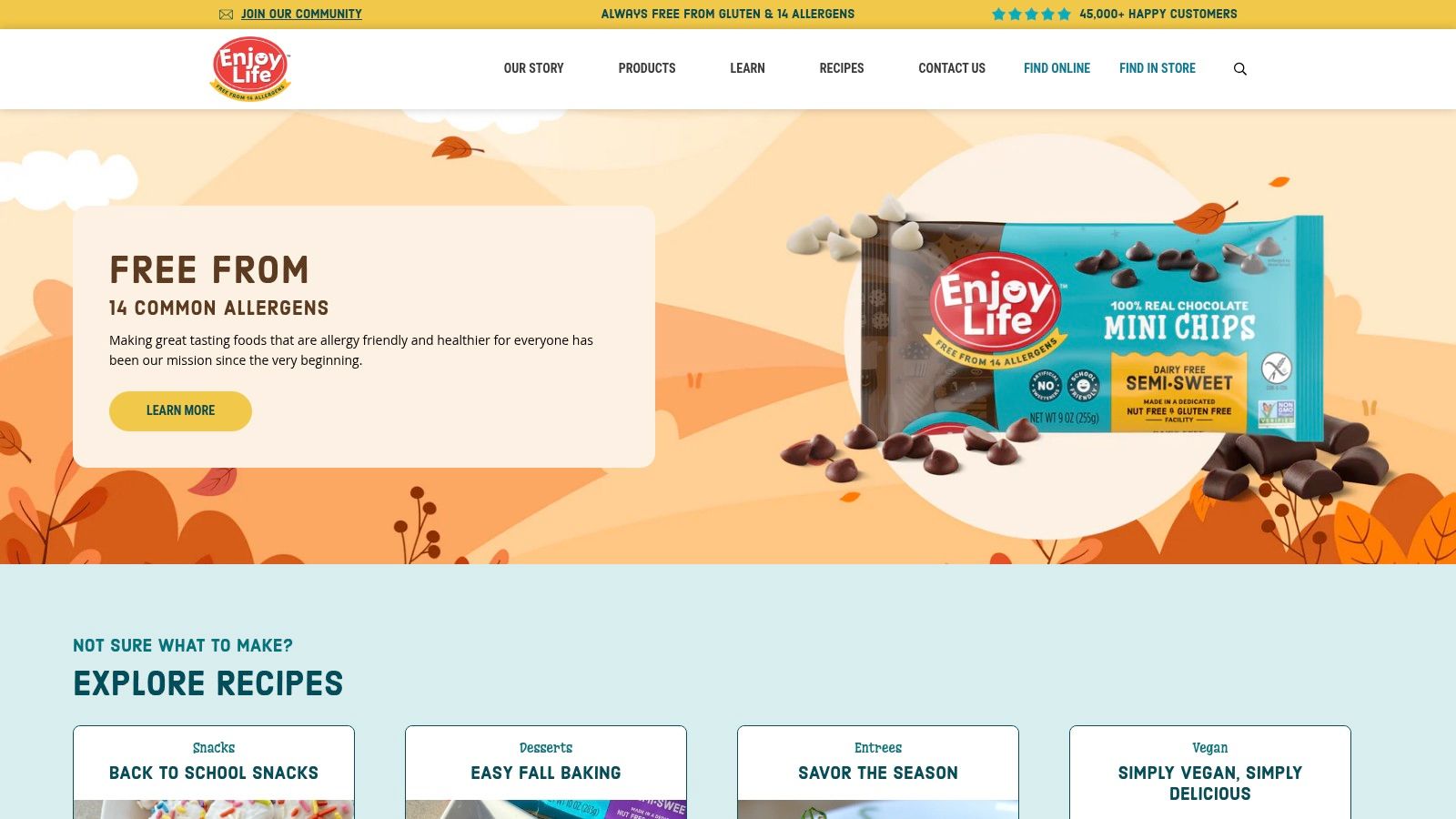 Enjoy Life Foods (brand direct)