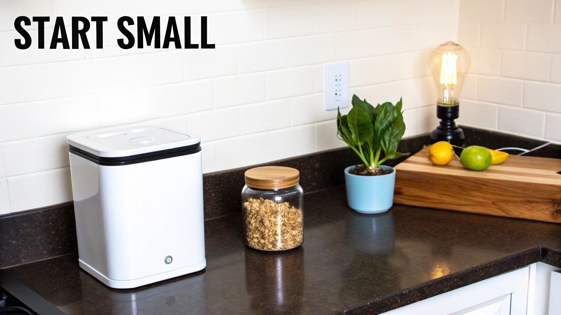 A person's hands holding a small plant sprout with soil.
