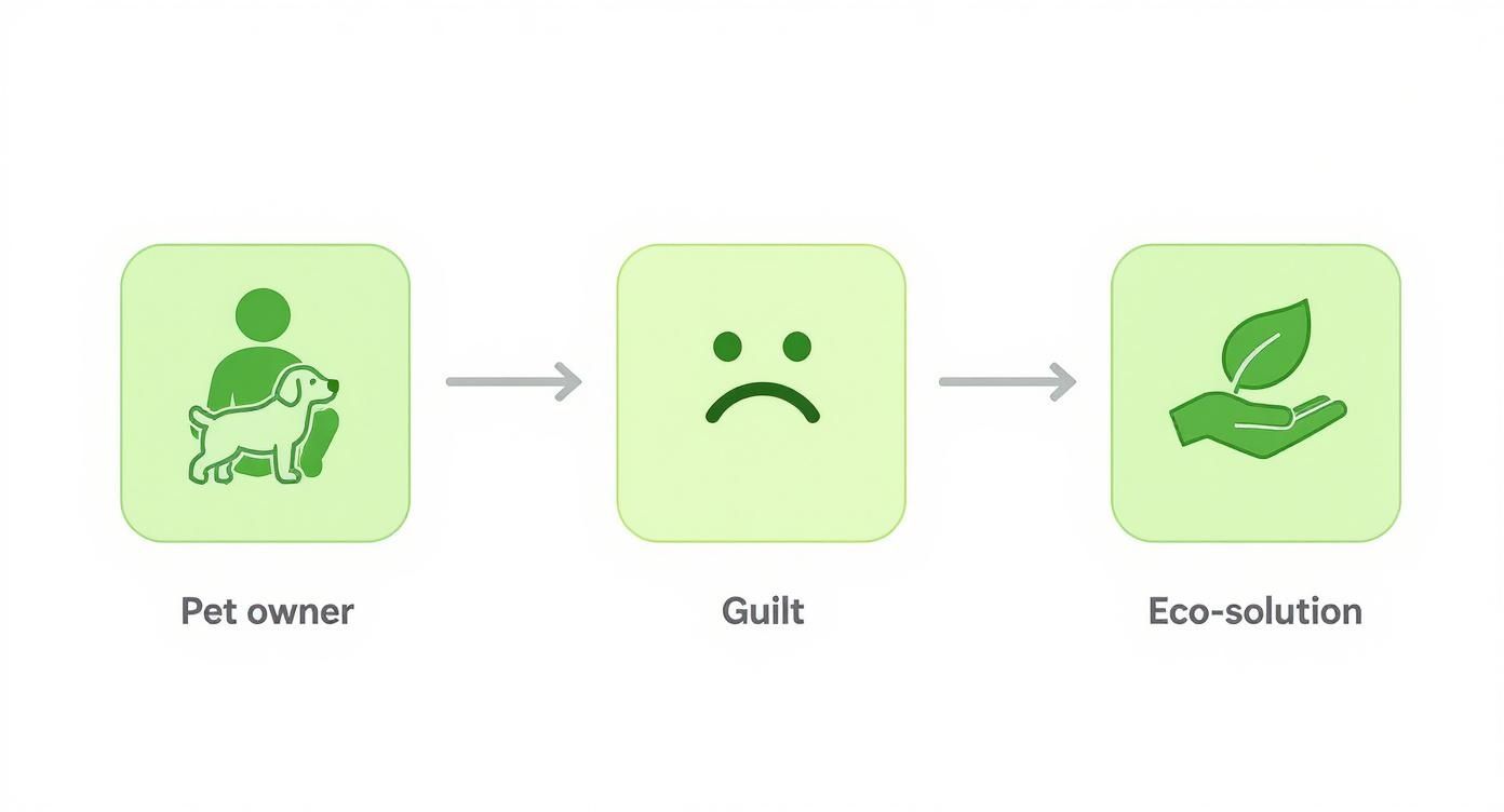 Infographic about best compostable dog poop bags