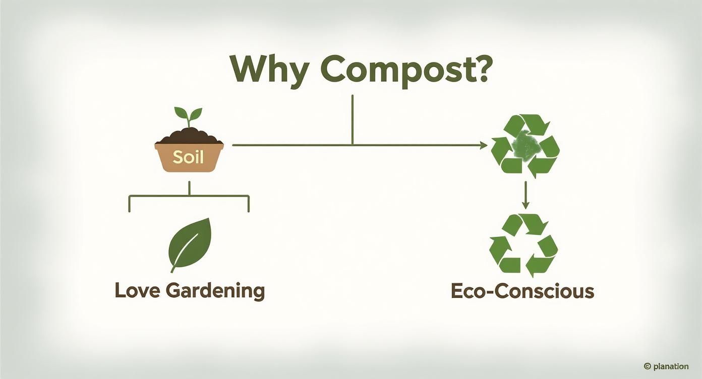 Infographic about setting up compost bin