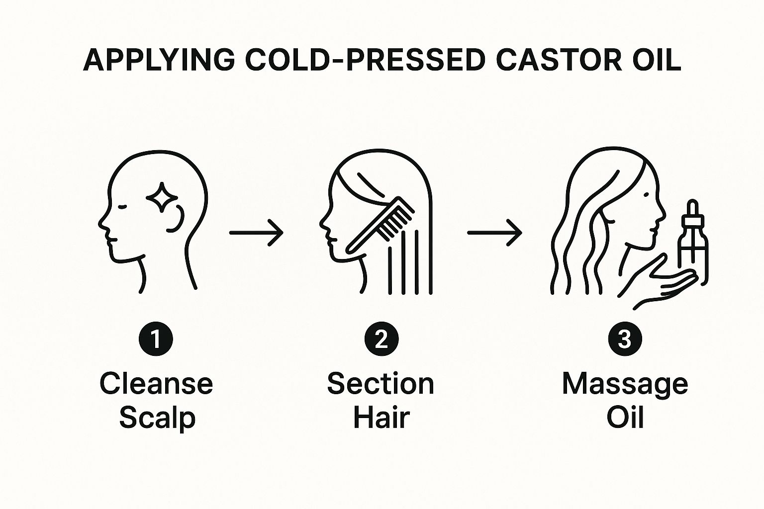 Infographic about castor oil cold pressed for hair