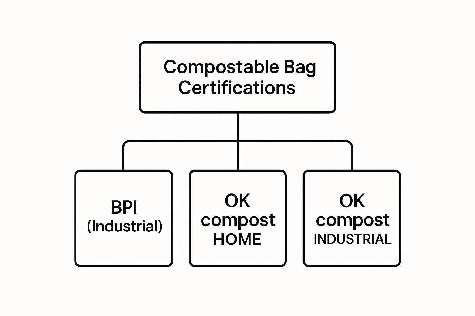 Infographic about compostable bags for compost bin