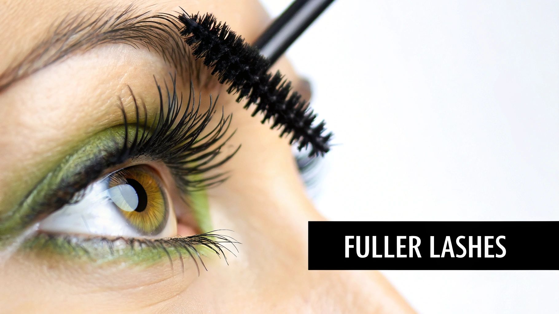 Eyelash and Eyebrow Enhancement