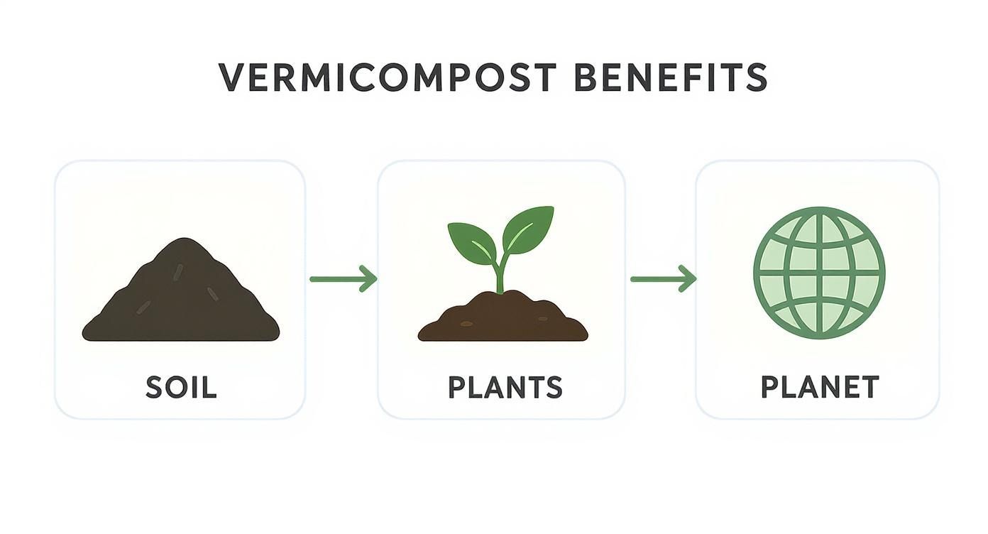 Infographic about what is vermicomposting