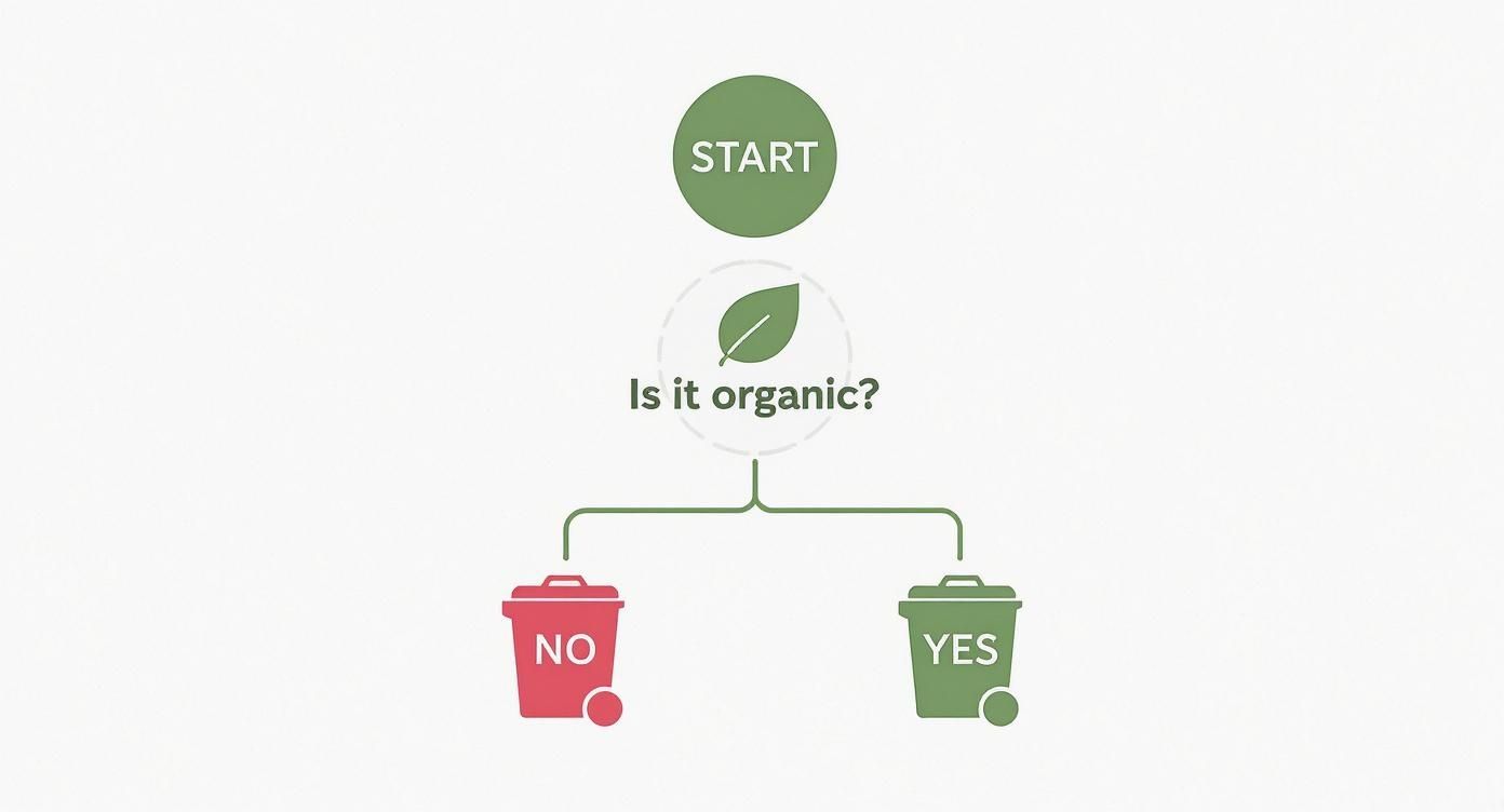 Infographic about what can and cannot be composted