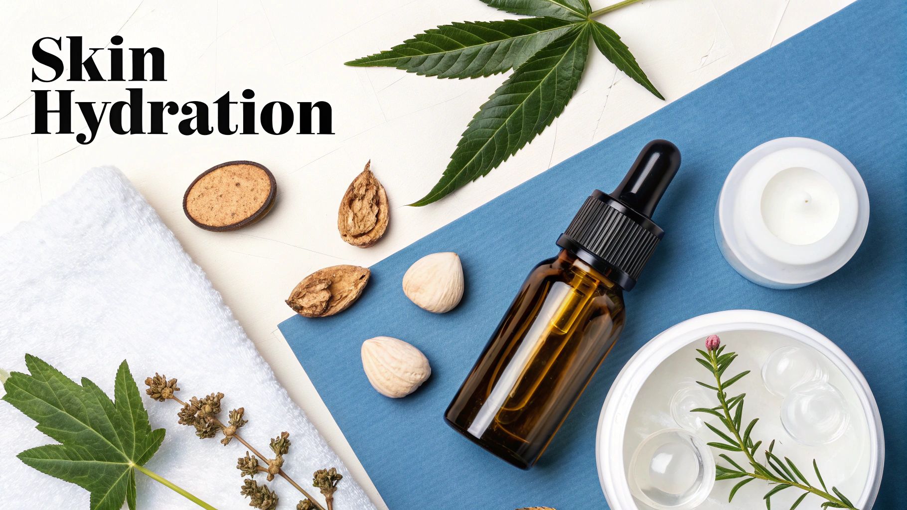 Bottle of castor oil cold pressed surrounded by castor beans