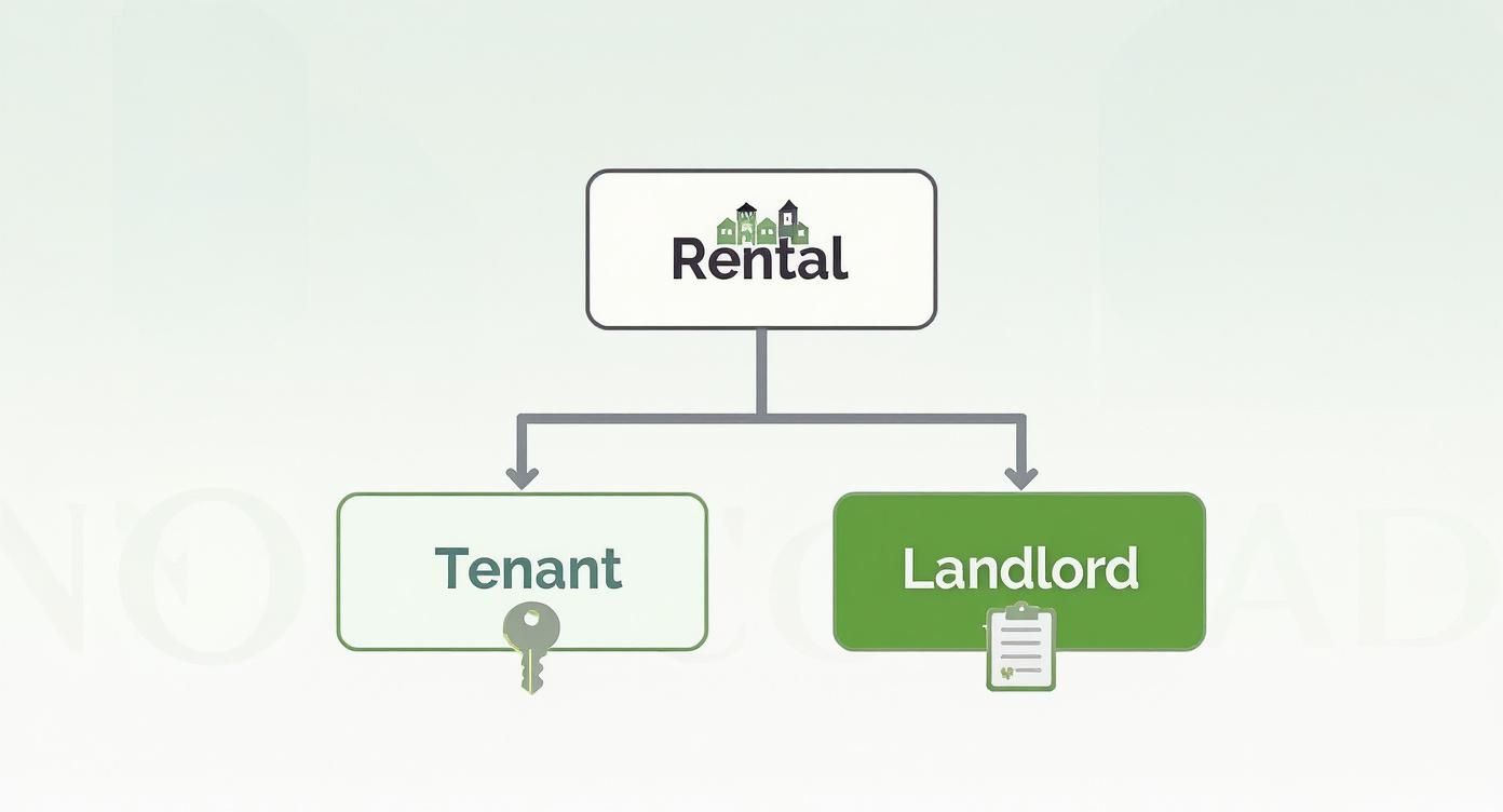0d35525c 7ffc 4c35 92e5 a85894aab9a3 Infographic about what is move out cleaning