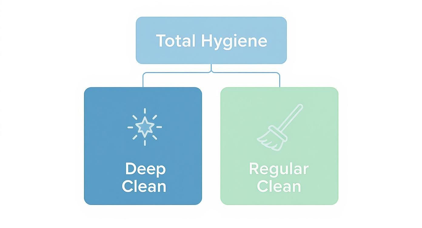 6779e9e7 2675 4dc6 9772 c0920523bf13 Infographic about what is included in deep cleaning