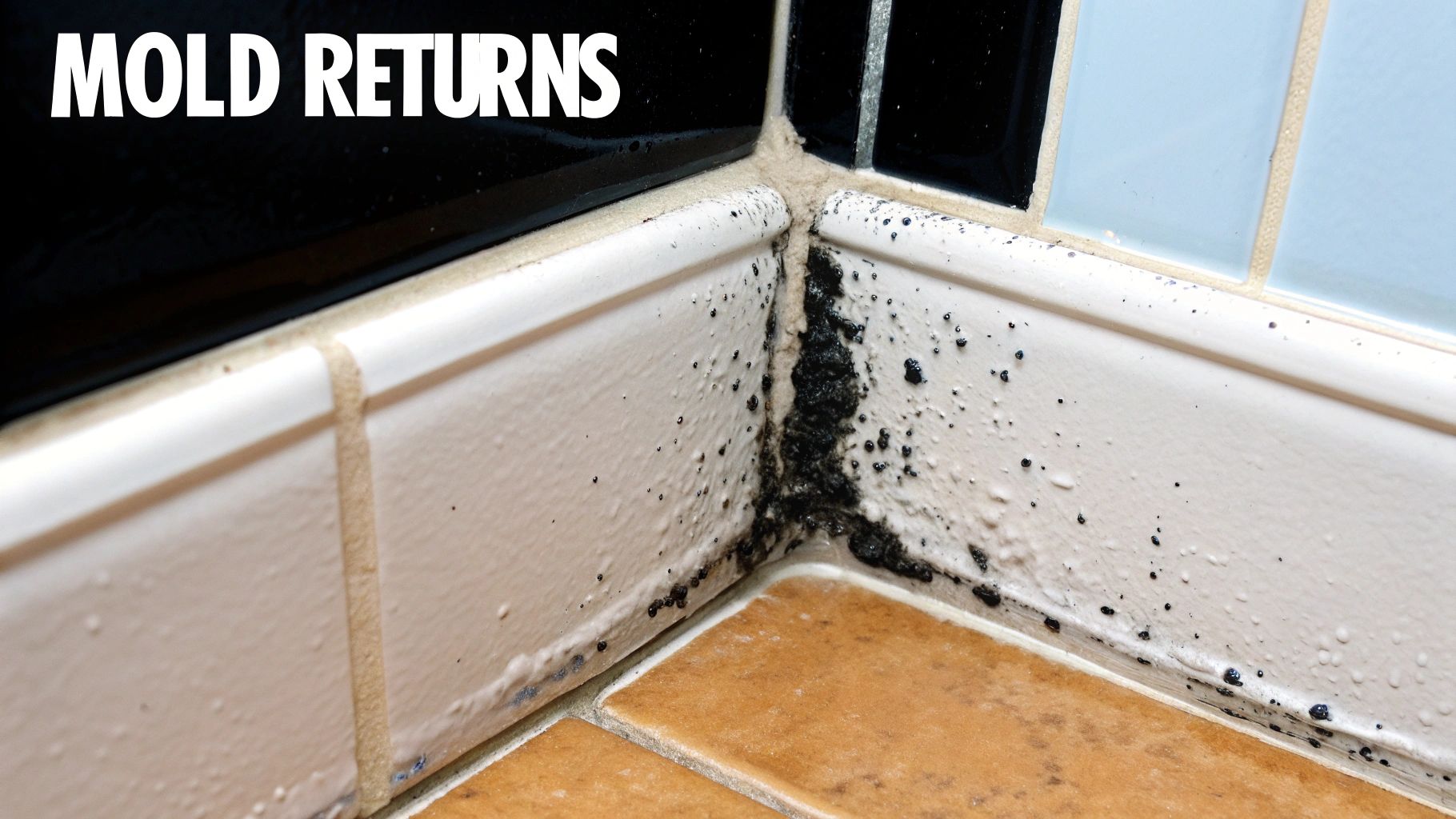Close-up of black mold growing on white shower caulk in a bathroom corner.