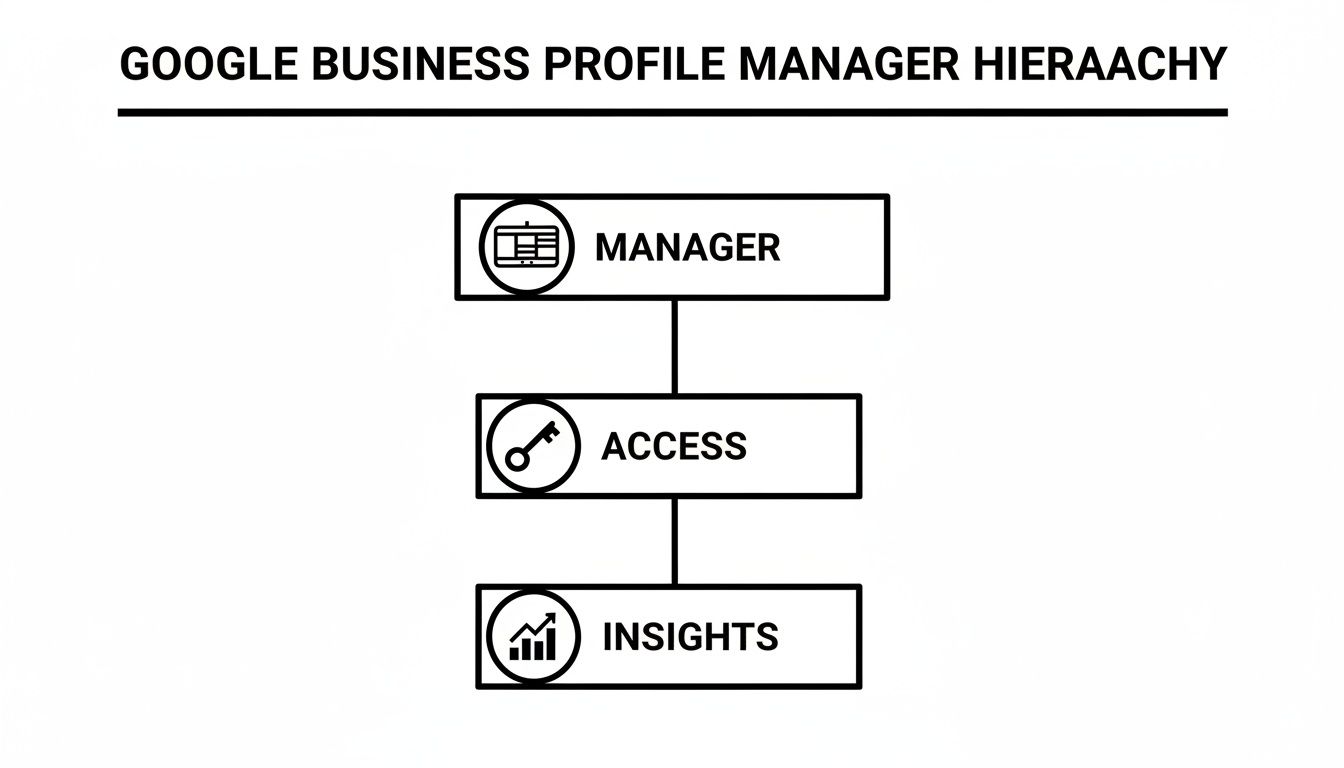 Infographic about google business profile manager