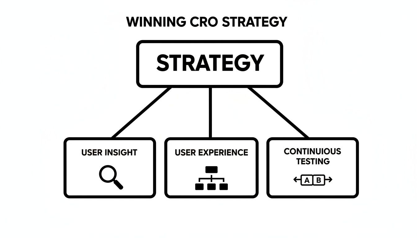 Flowchart illustrating a winning CRO strategy, detailing user insight, user experience, and continuous testing.