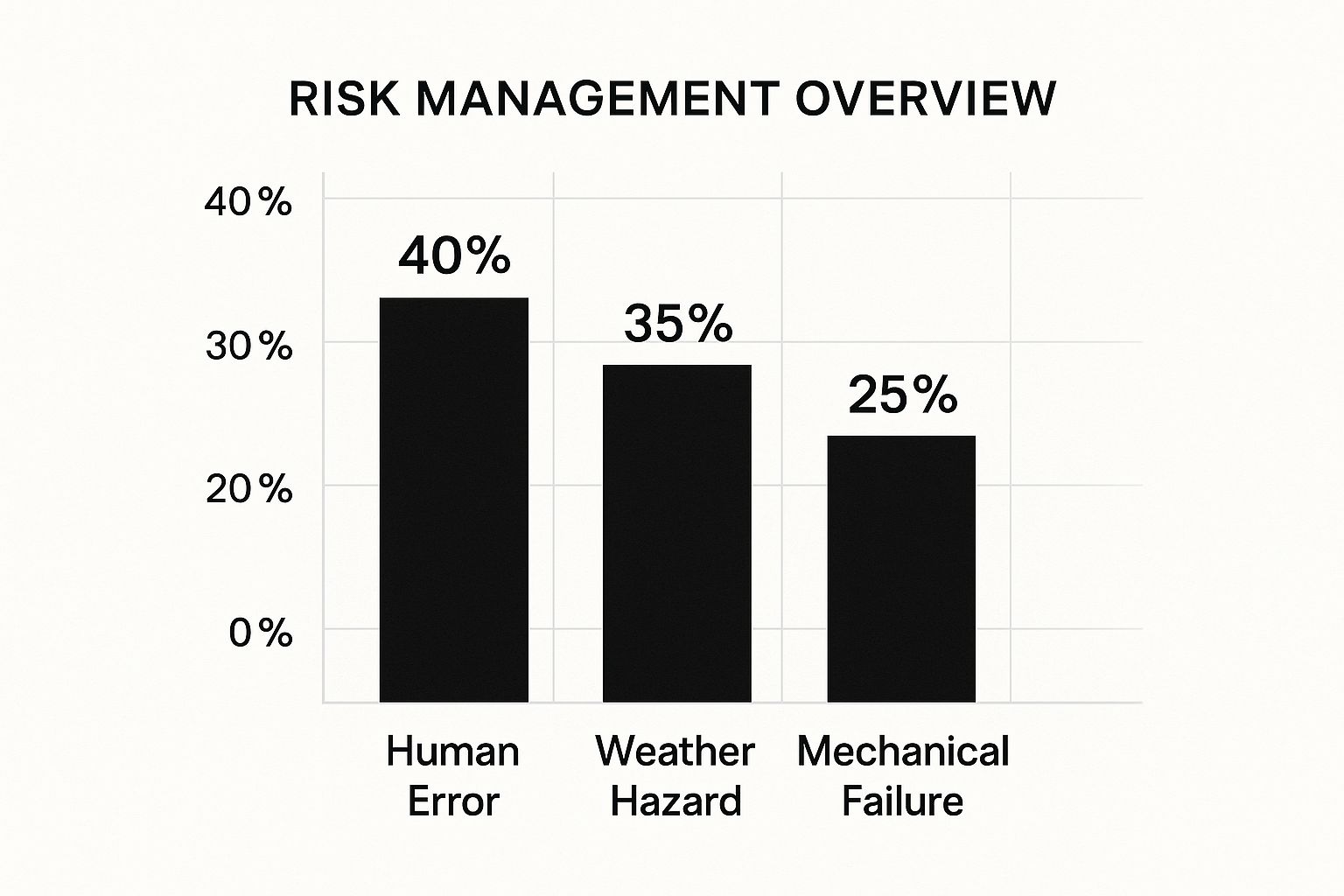 Infographic about aeronautical decision making