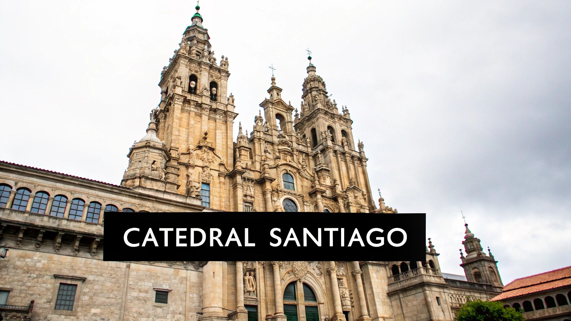 Catedral de Santiago de Compostela (Galicia)