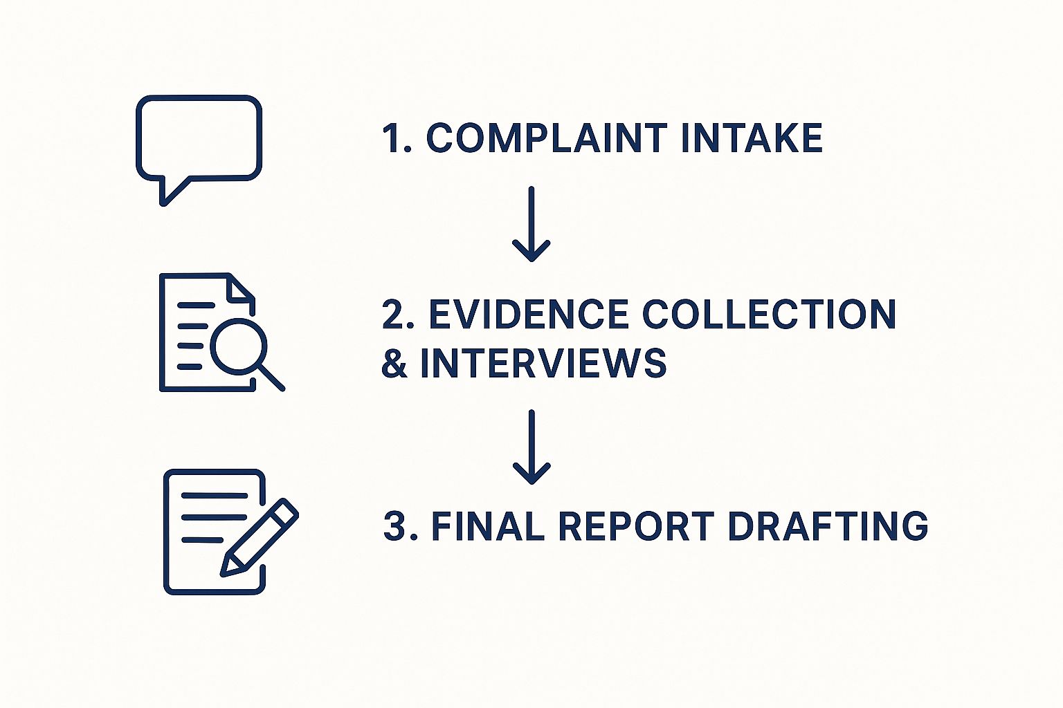 workplace investigation procedures